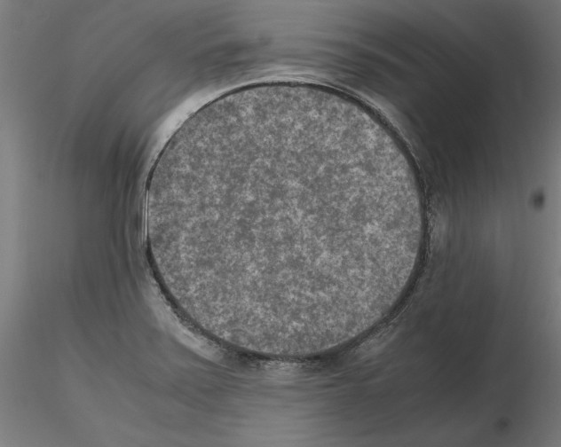 X0000115601371200912221137