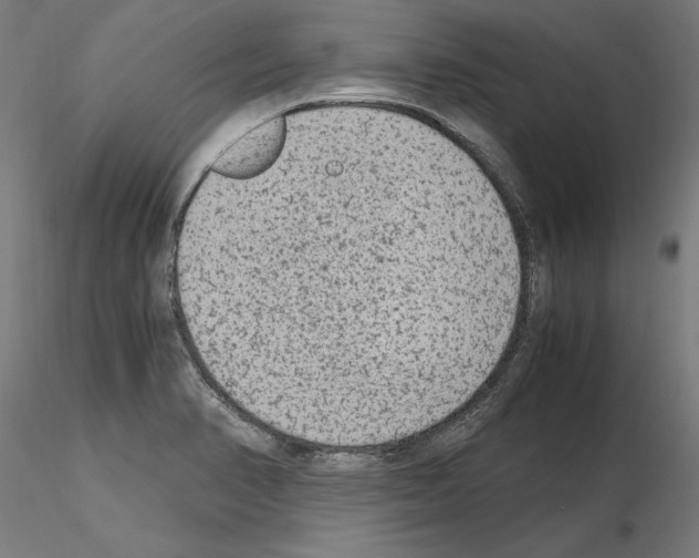 X0000115601374200912221137