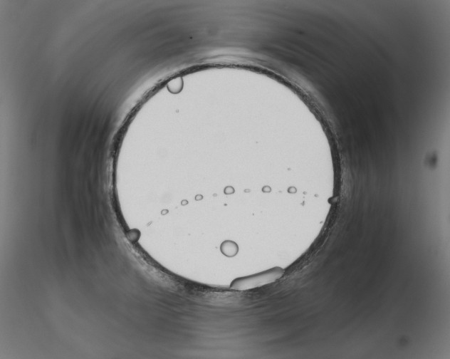 X0000115601376200912221137