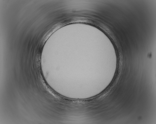 X0000115601377200912221137