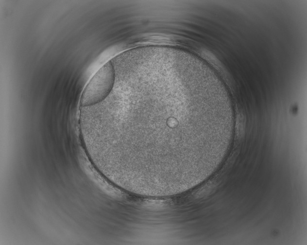 X0000115601378200912221137