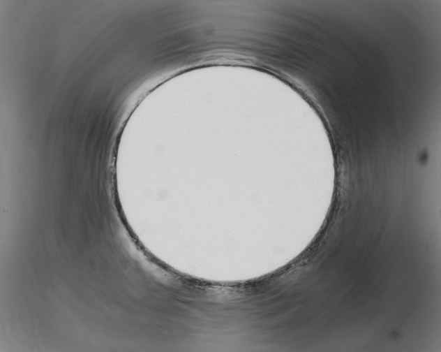 X0000115601379200912221137