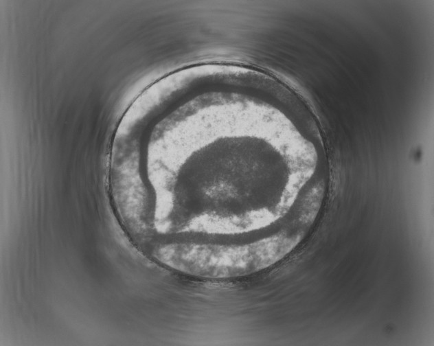 X0000115601383200912221137