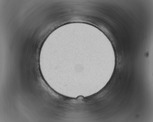 X0000115601384200912221137