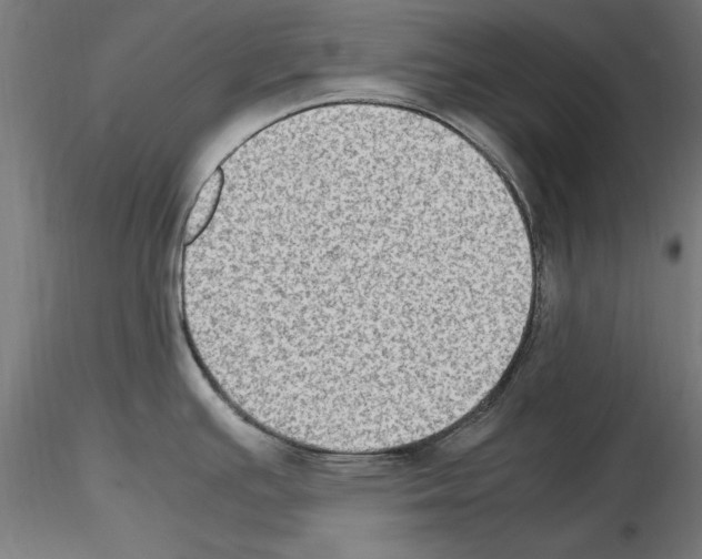 X0000115601391200912221137