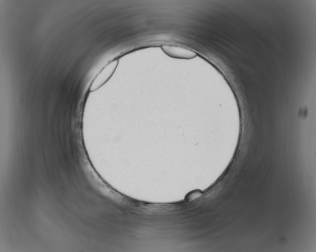 X0000115601392200912221137