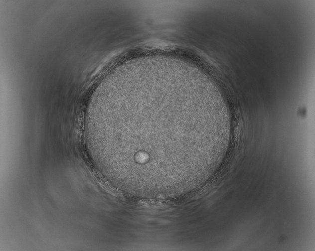 X0000115601397200912221136