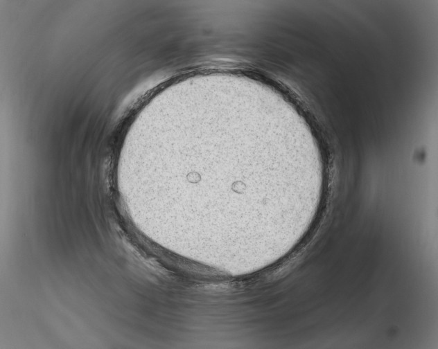 X0000115601402200912221136