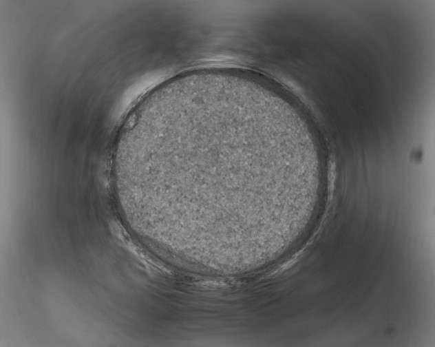 X0000115601405200912221136