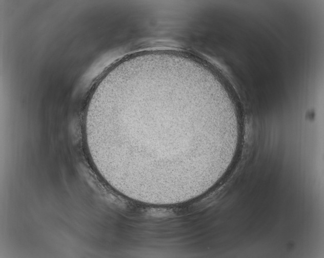 X0000115601407200912221136