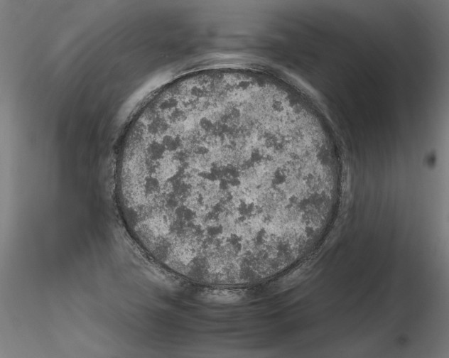 X0000115601411200912221136