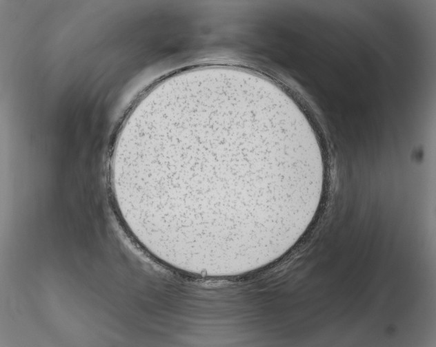 X0000115601416200912221137