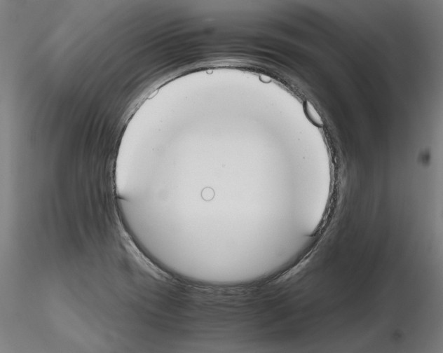 X0000115601417200912221137