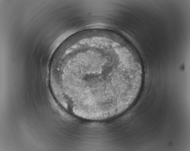 X0000115601418200912221137