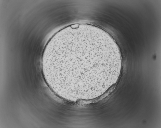 X0000115601420200912221137