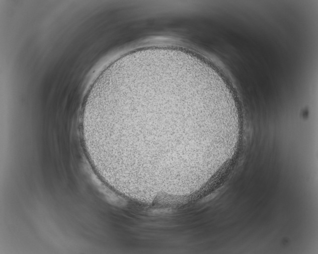 X0000115601421200912221137