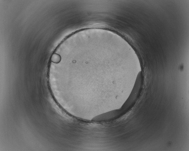 X0000115601422200912221137