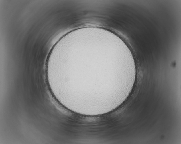 X0000115601423200912221137