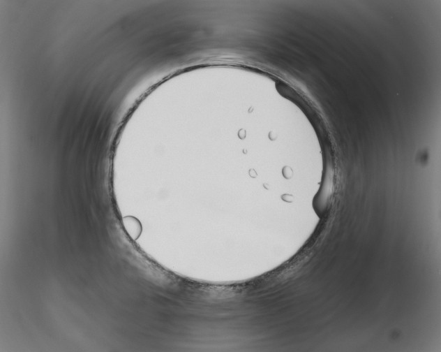 X0000115601424200912221137