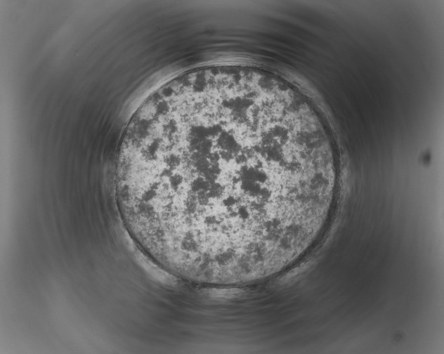 X0000115601425200912221137