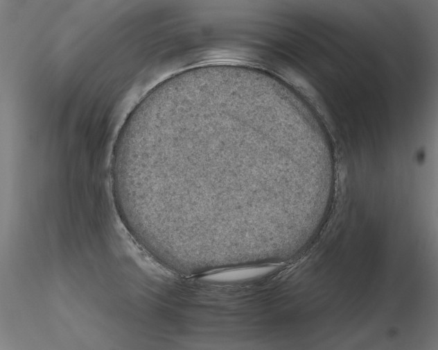 X0000115601427200912221137