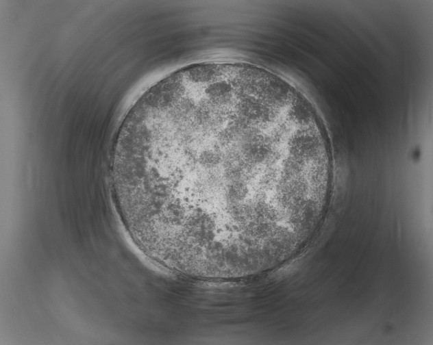 X0000115601429200912221137