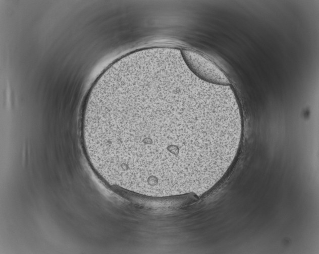 X0000115601430200912221137