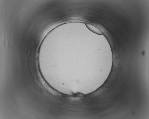 X0000115601431200912221137