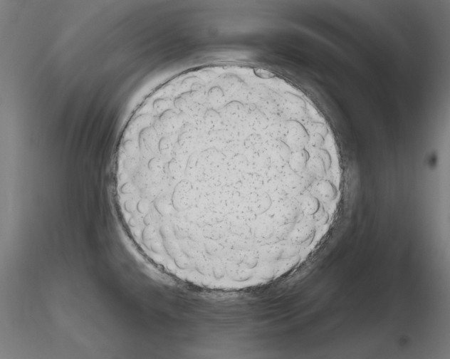 X0000115601432200912221137