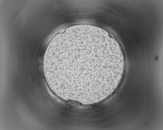 X0000115601433200912221137