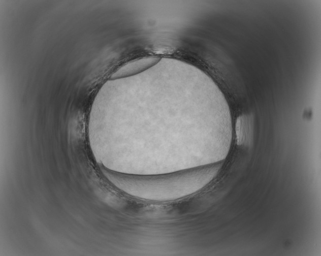 X0000115601443200912221136