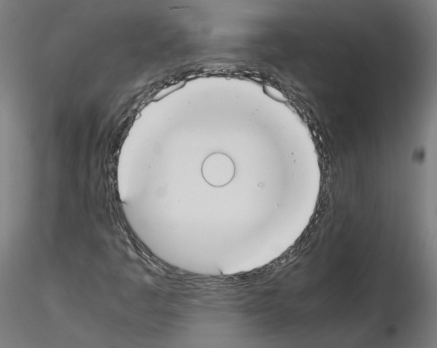 X0000115601445200912221136