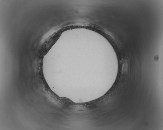 X0000115601448200912221136