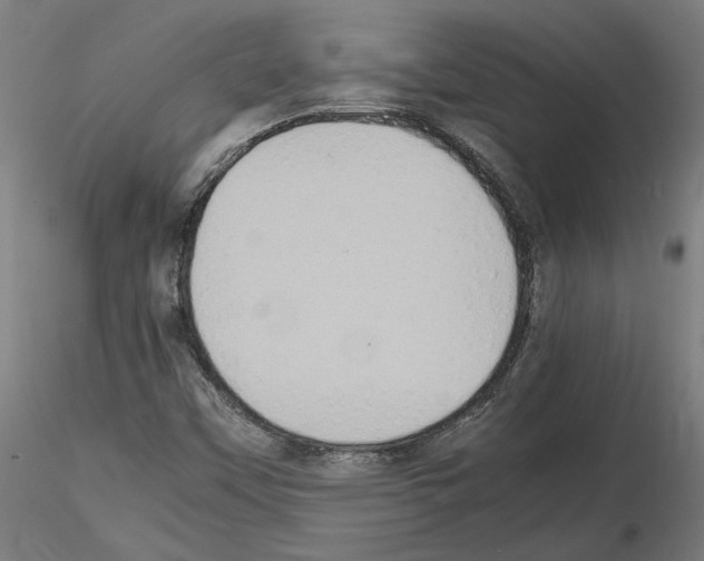 X0000115601451200912221136