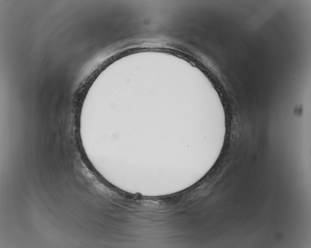 X0000115601456200912221136