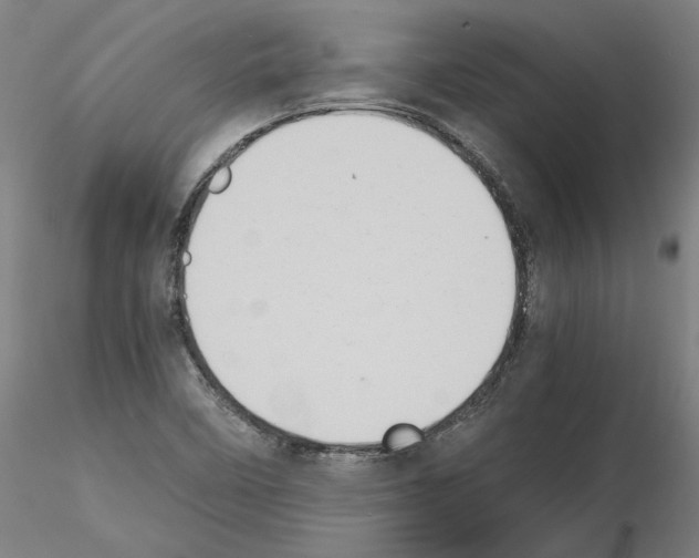 X0000115601458200912221136