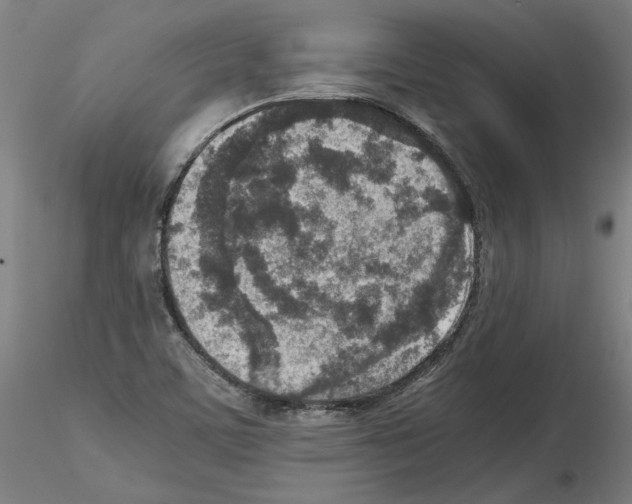 X0000115601459200912221136