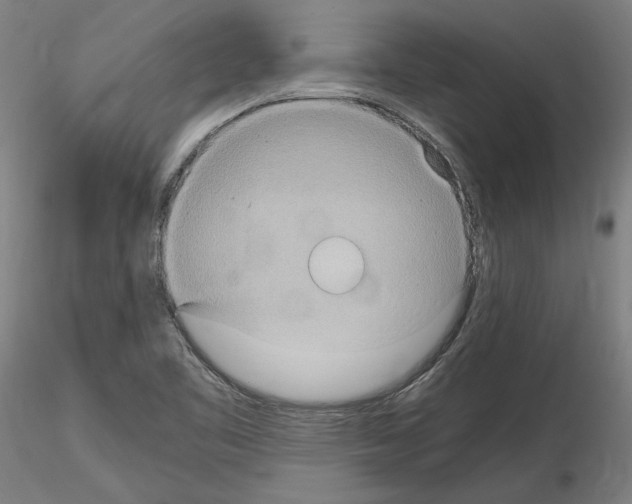 X0000115601461200912221136