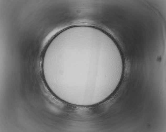 X0000115601462200912221136