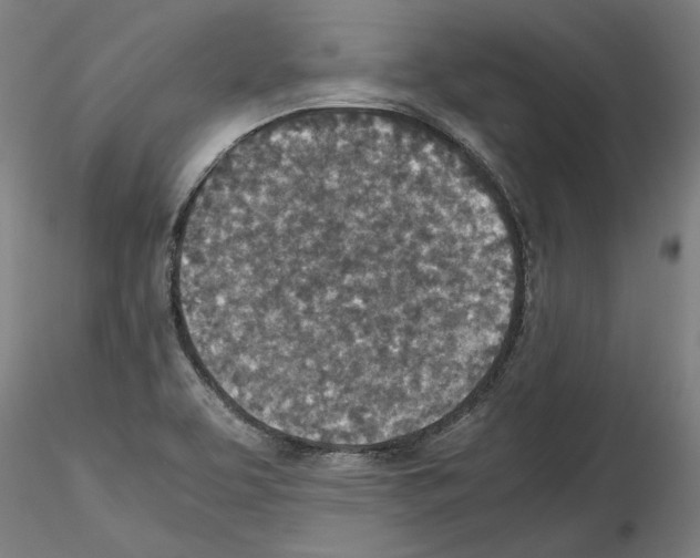 X0000115601463200912221136