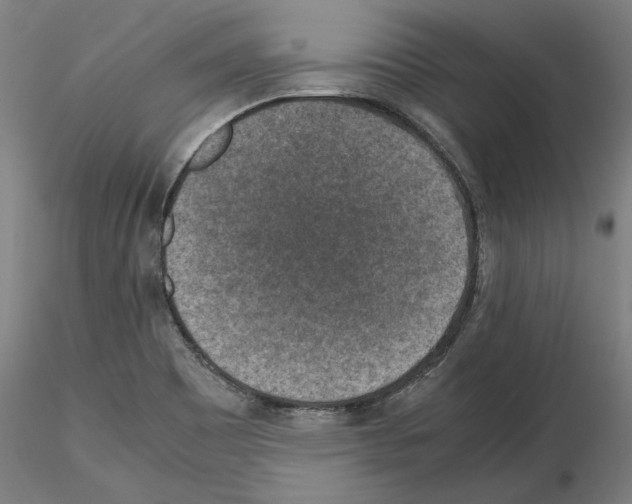 X0000115601465200912221136