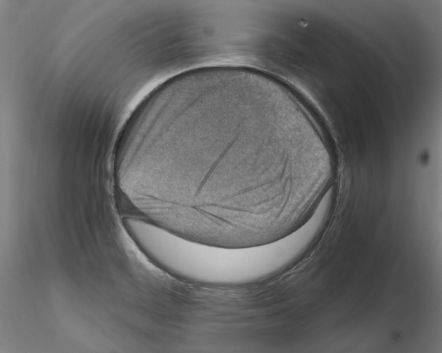 X0000115601468200912221136