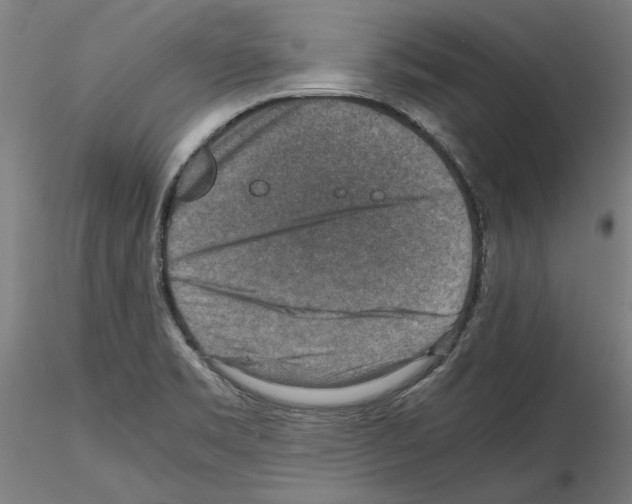 X0000115601469200912221136