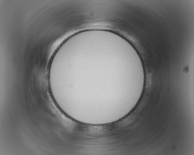 X0000115601470200912221136