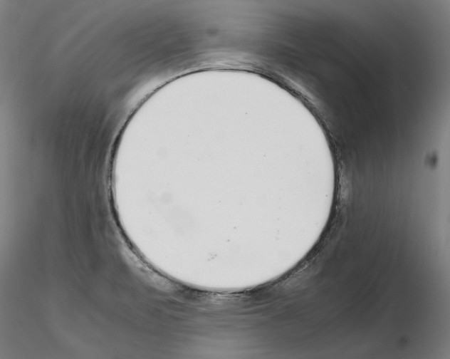 X0000115601471200912221136