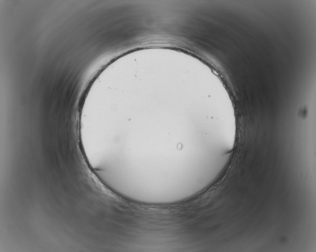 X0000115601472200912221136