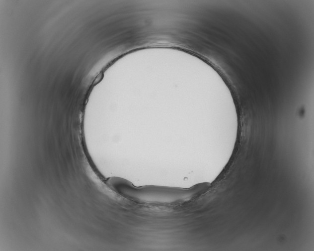 X0000115601476200912221136