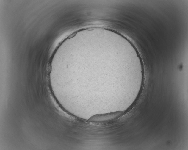 X0000115601477200912221136