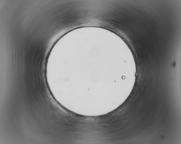 X0000115601480200912221136