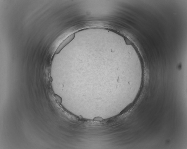 X0000115601481200912221136